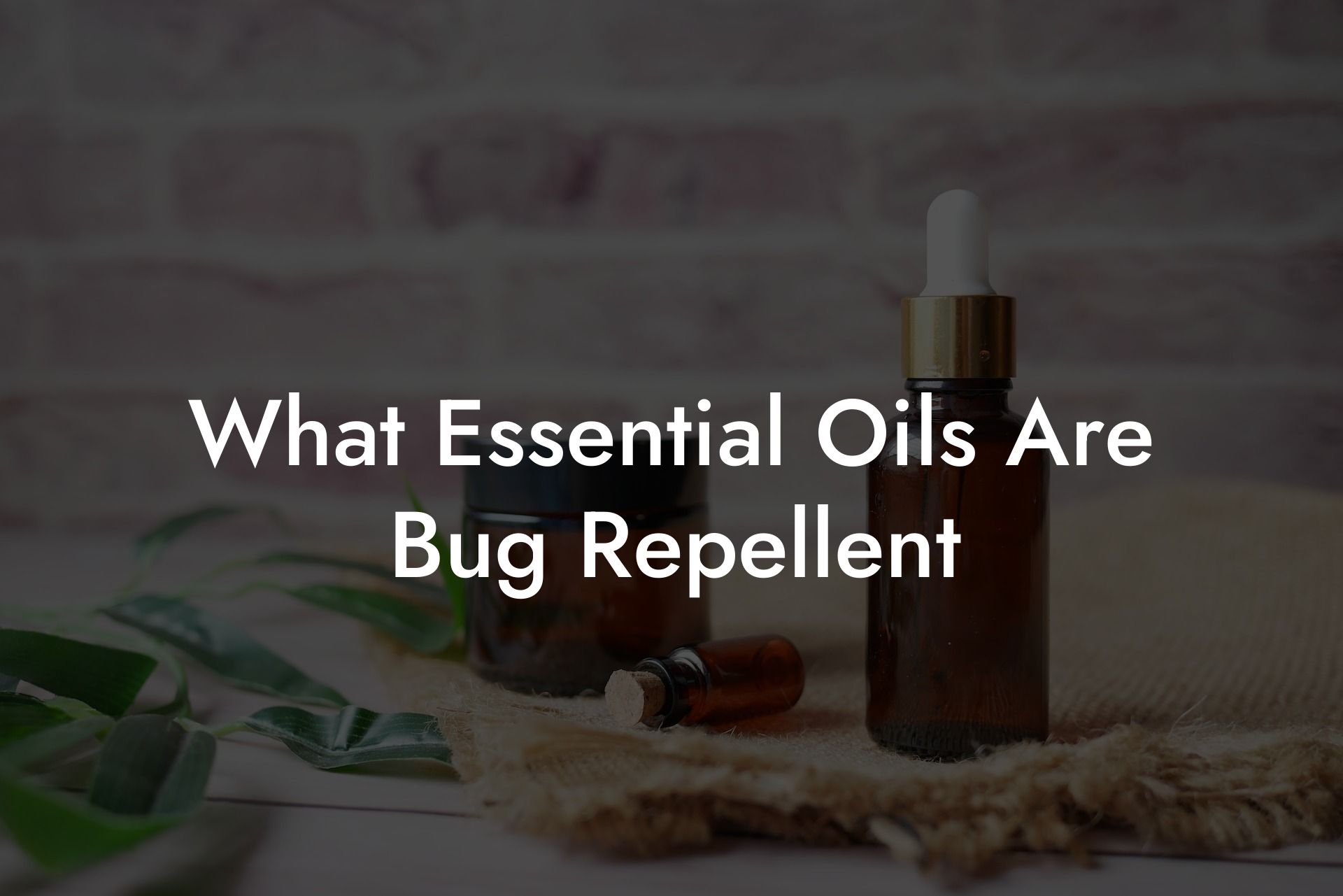 What Essential Oils Are Bug Repellent