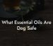 What Essential Oils Are Dog Safe