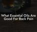What Essential Oils Are Good For Back Pain