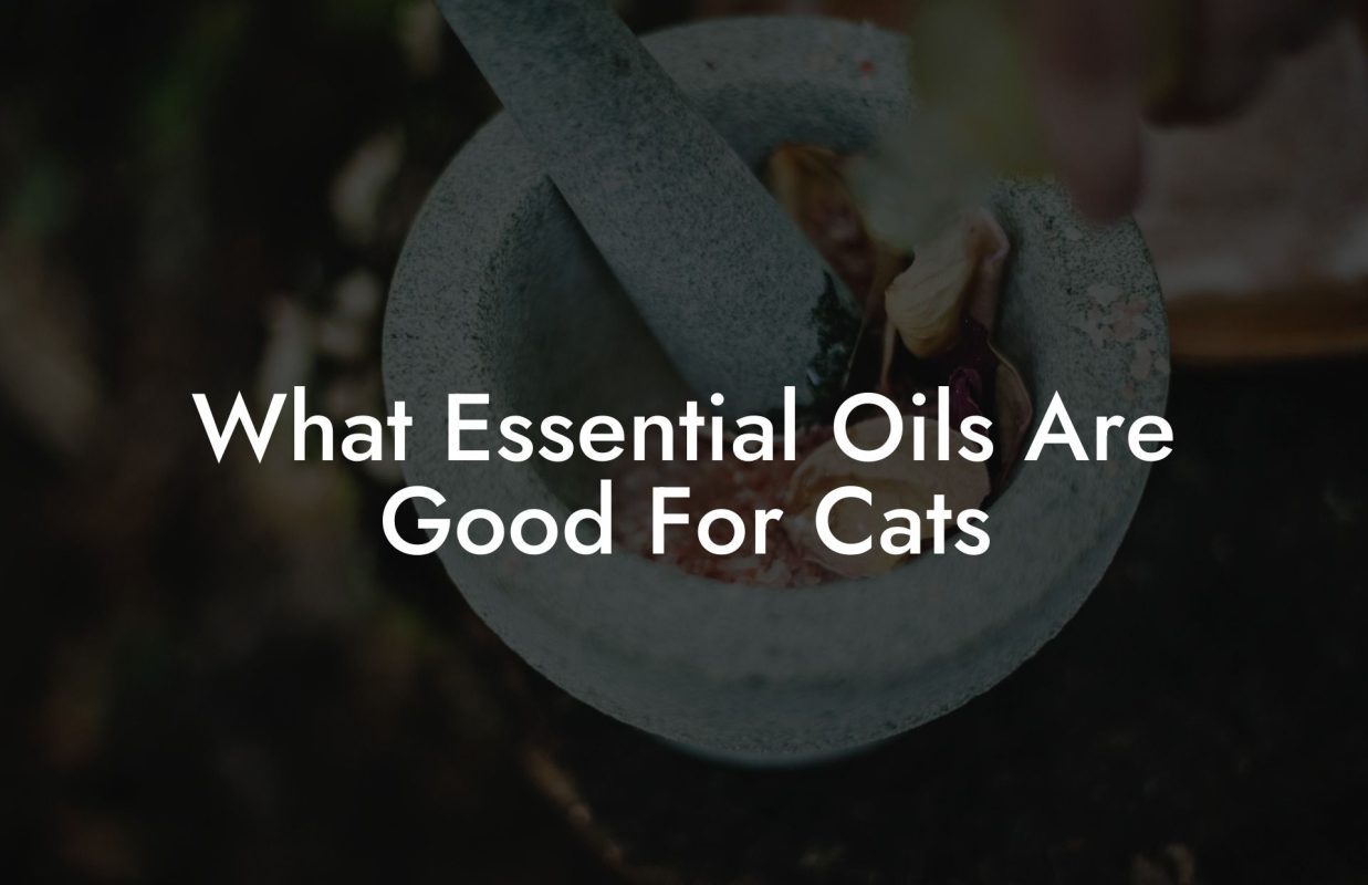 What Essential Oils Are Good For Cats