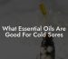 What Essential Oils Are Good For Cold Sores