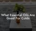 What Essential Oils Are Good For Colds