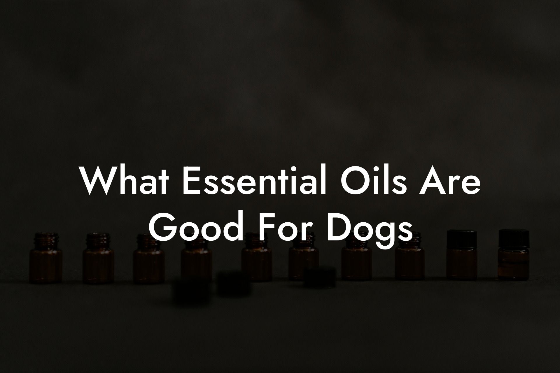 What Essential Oils Are Good For Dogs