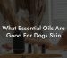 What Essential Oils Are Good For Dogs Skin