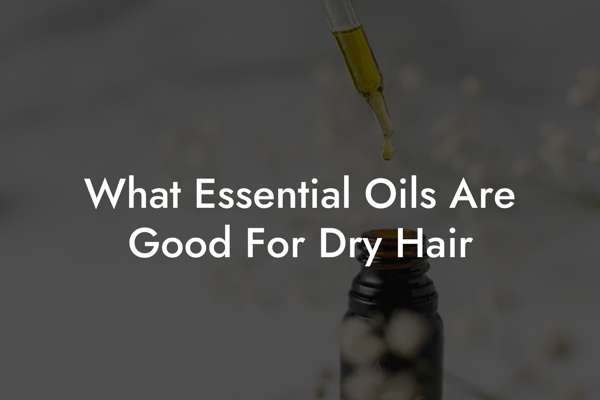 What Essential Oils Are Good For Dry Hair
