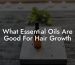 What Essential Oils Are Good For Hair Growth