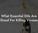 What Essential Oils Are Good For Killing Viruses