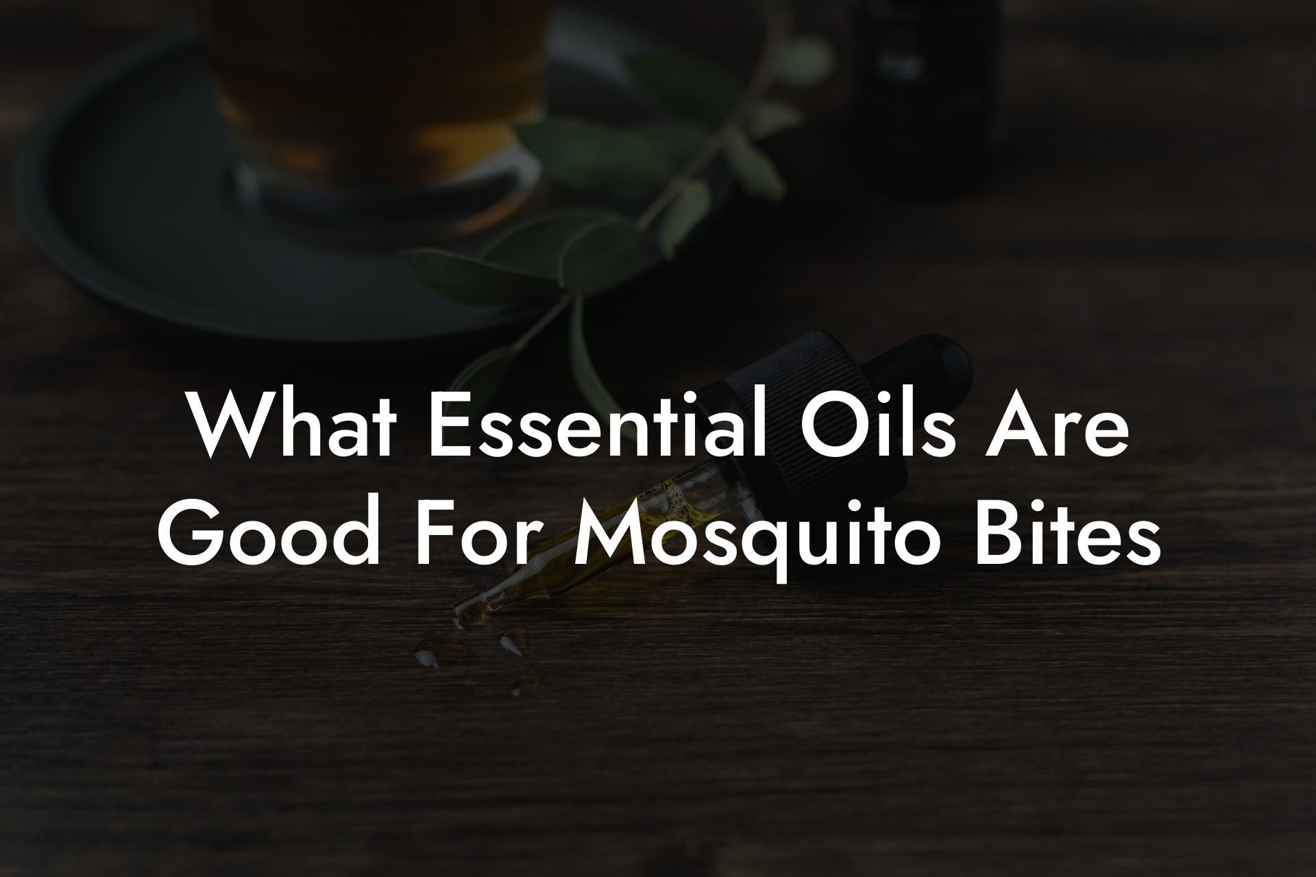What Essential Oils Are Good For Mosquito Bites
