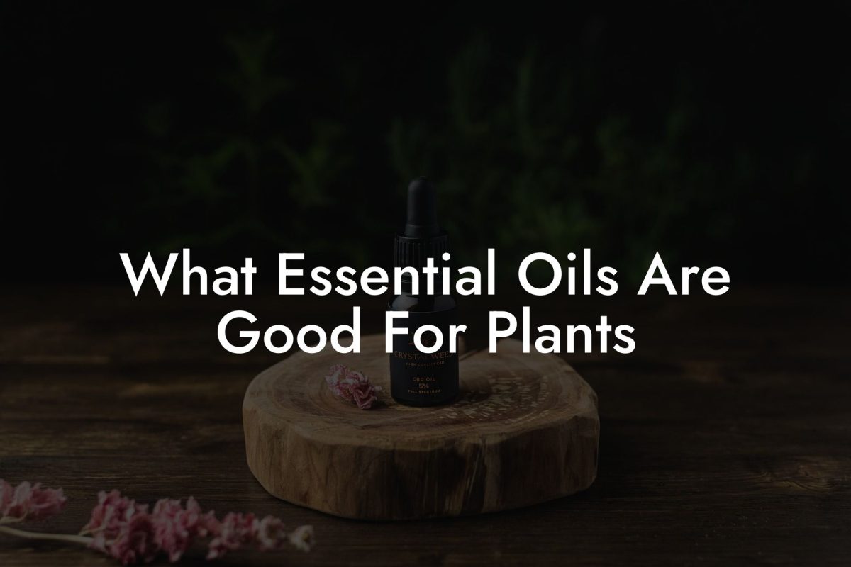 What Essential Oils Are Good For Plants