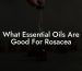 What Essential Oils Are Good For Rosacea
