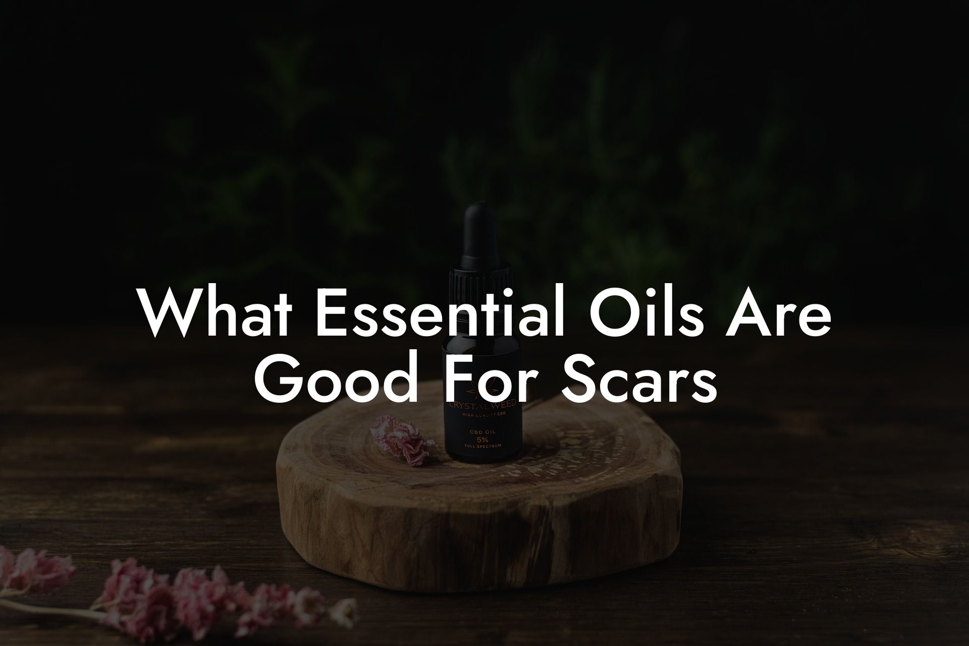 What Essential Oils Are Good For Scars