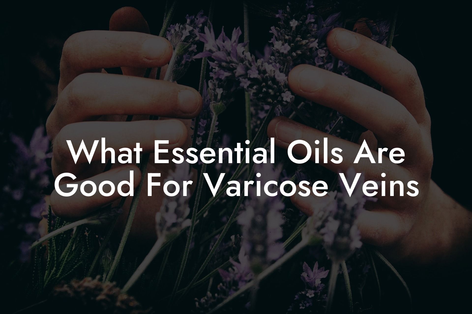 What Essential Oils Are Good For Varicose Veins