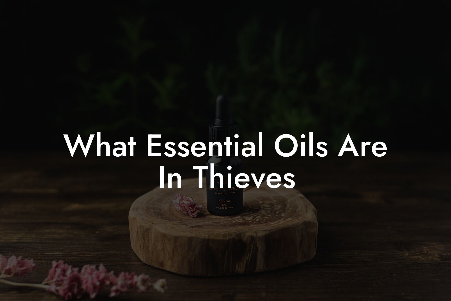 What Essential Oils Are In Thieves