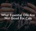 What Essential Oils Are Not Good For Cats
