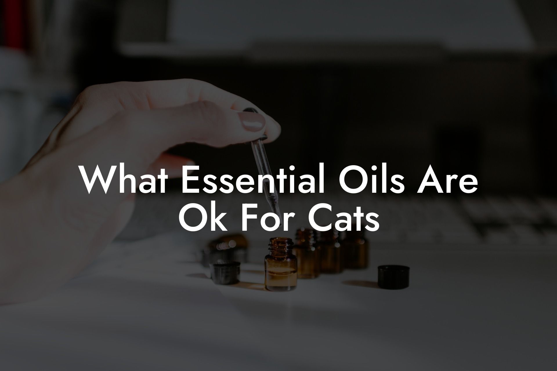 What Essential Oils Are Ok For Cats