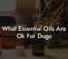 What Essential Oils Are Ok For Dogs