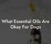 What Essential Oils Are Okay For Dogs