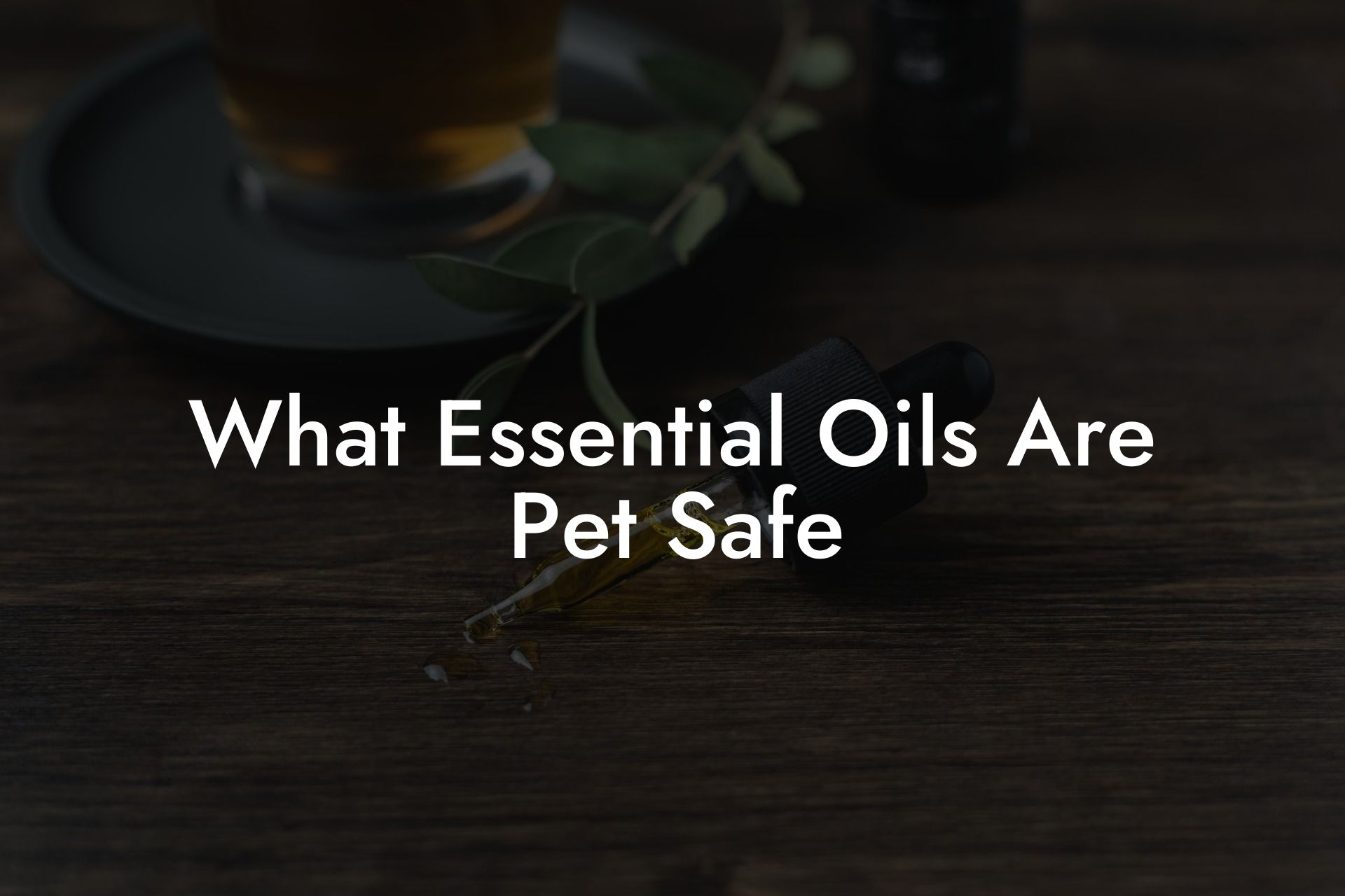 What Essential Oils Are Pet Safe