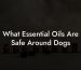 What Essential Oils Are Safe Around Dogs