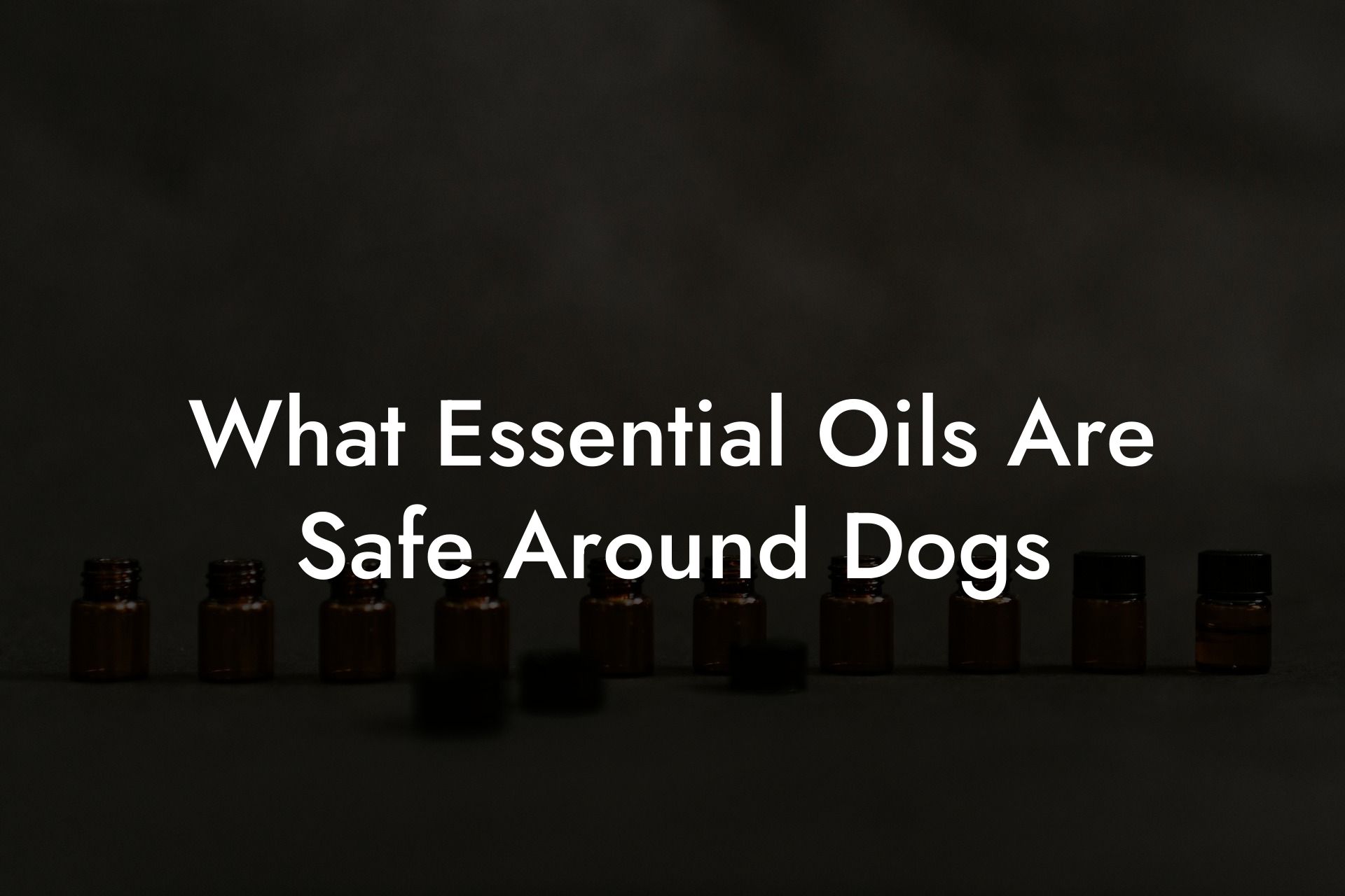 What Essential Oils Are Safe Around Dogs