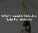 What Essential Oils Are Safe For Animals