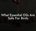 What Essential Oils Are Safe For Birds
