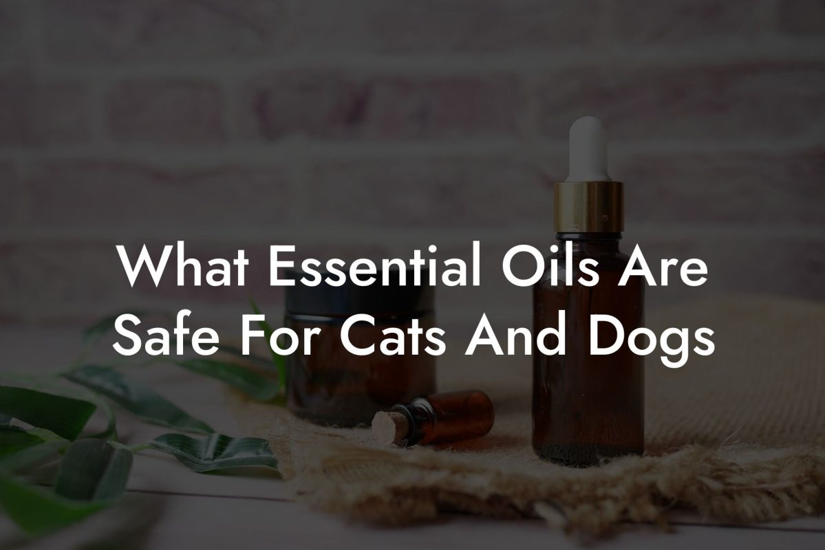 What Essential Oils Are Safe For Cats And Dogs