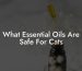 What Essential Oils Are Safe For Cats