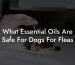 What Essential Oils Are Safe For Dogs For Fleas