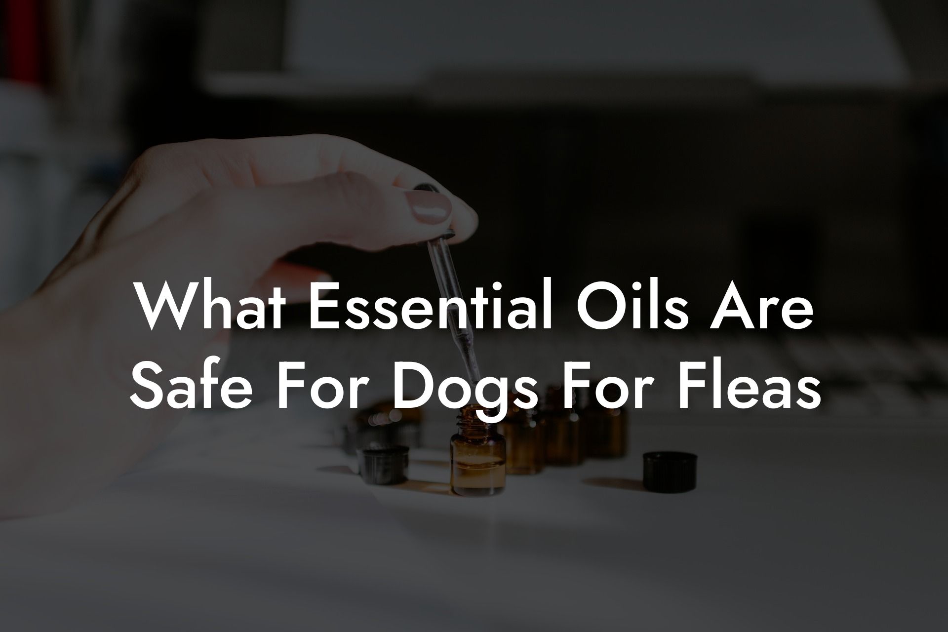 What Essential Oils Are Safe For Dogs For Fleas