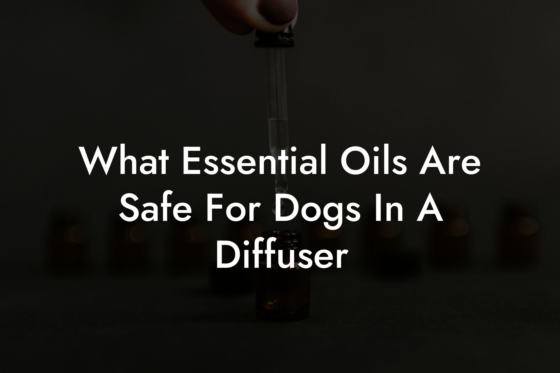 What Essential Oils Are Safe For Dogs In A Diffuser