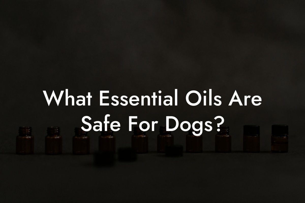 What Essential Oils Are Safe For Dogs?