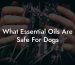What Essential Oils Are Safe For Dogs?