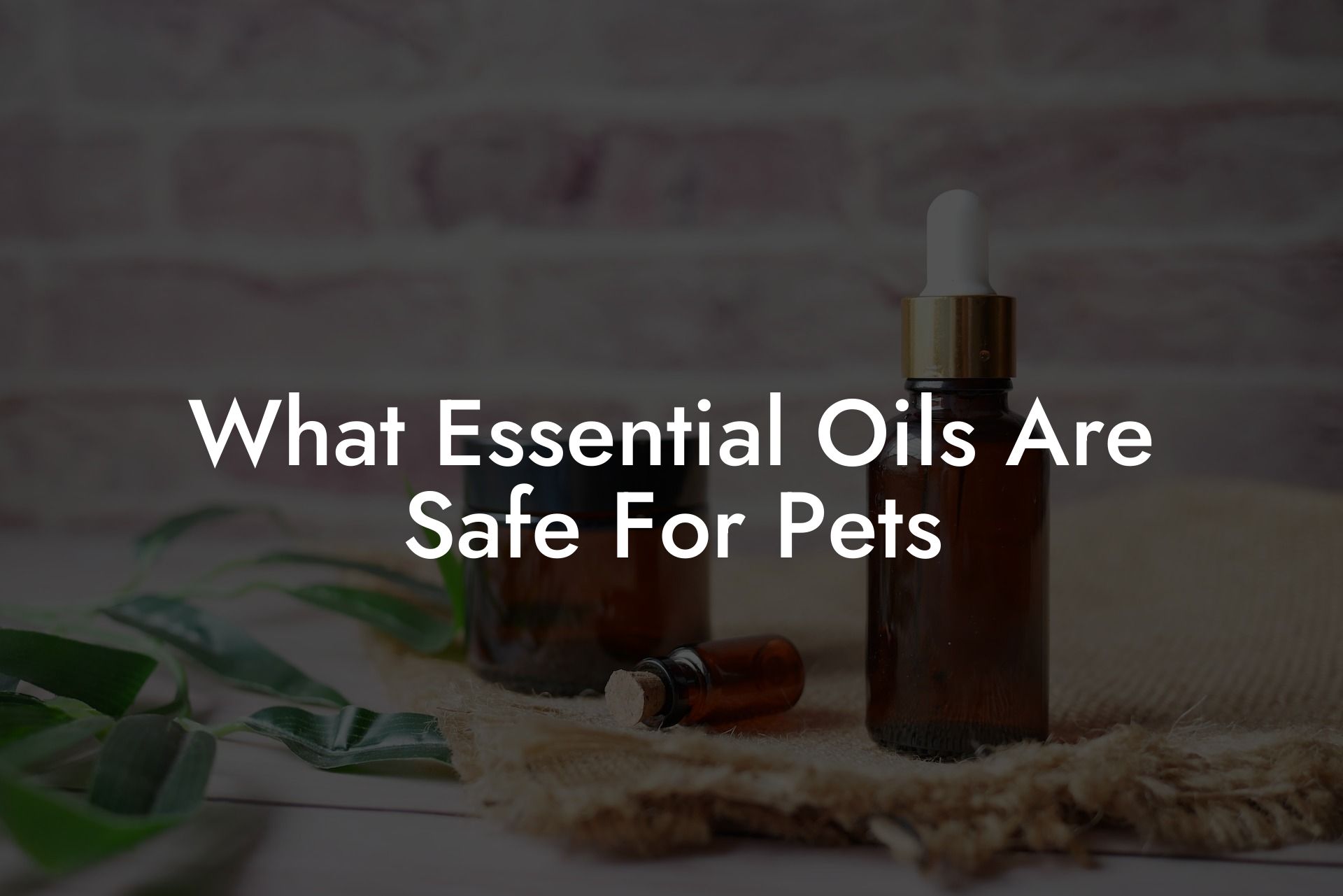 What Essential Oils Are Safe For Pets