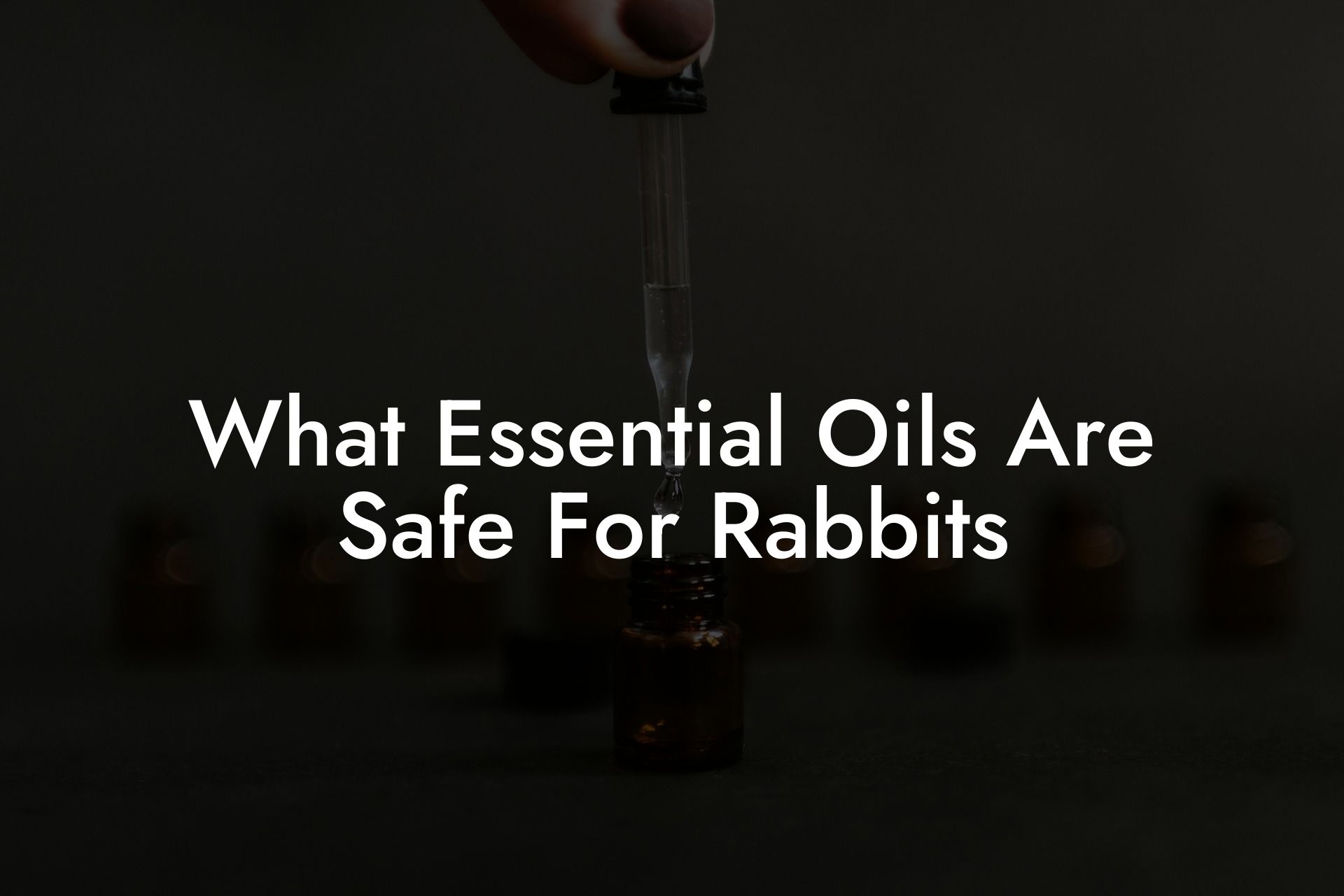 What Essential Oils Are Safe For Rabbits