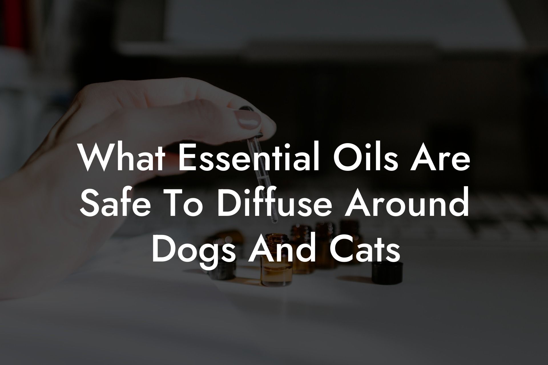 What Essential Oils Are Safe To Diffuse Around Dogs And Cats