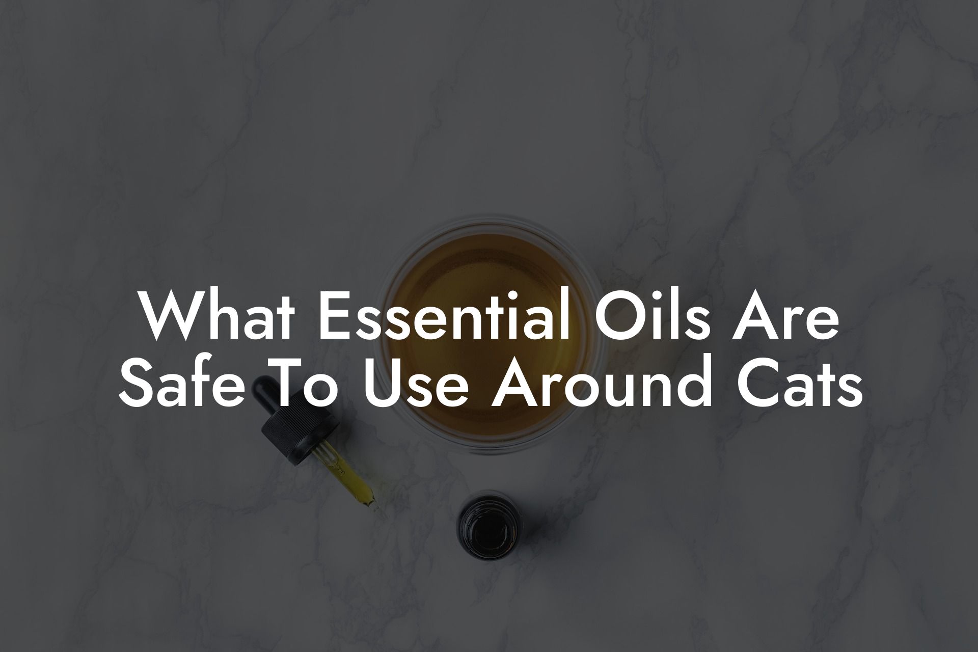 What Essential Oils Are Safe To Use Around Cats