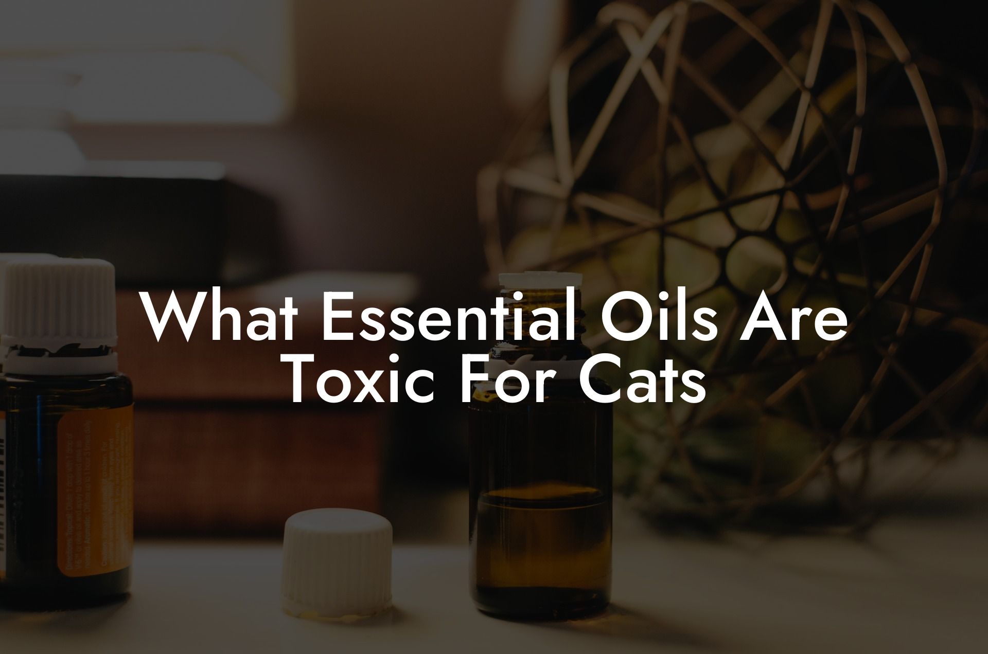What Essential Oils Are Toxic For Cats