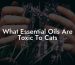 What Essential Oils Are Toxic To Cats