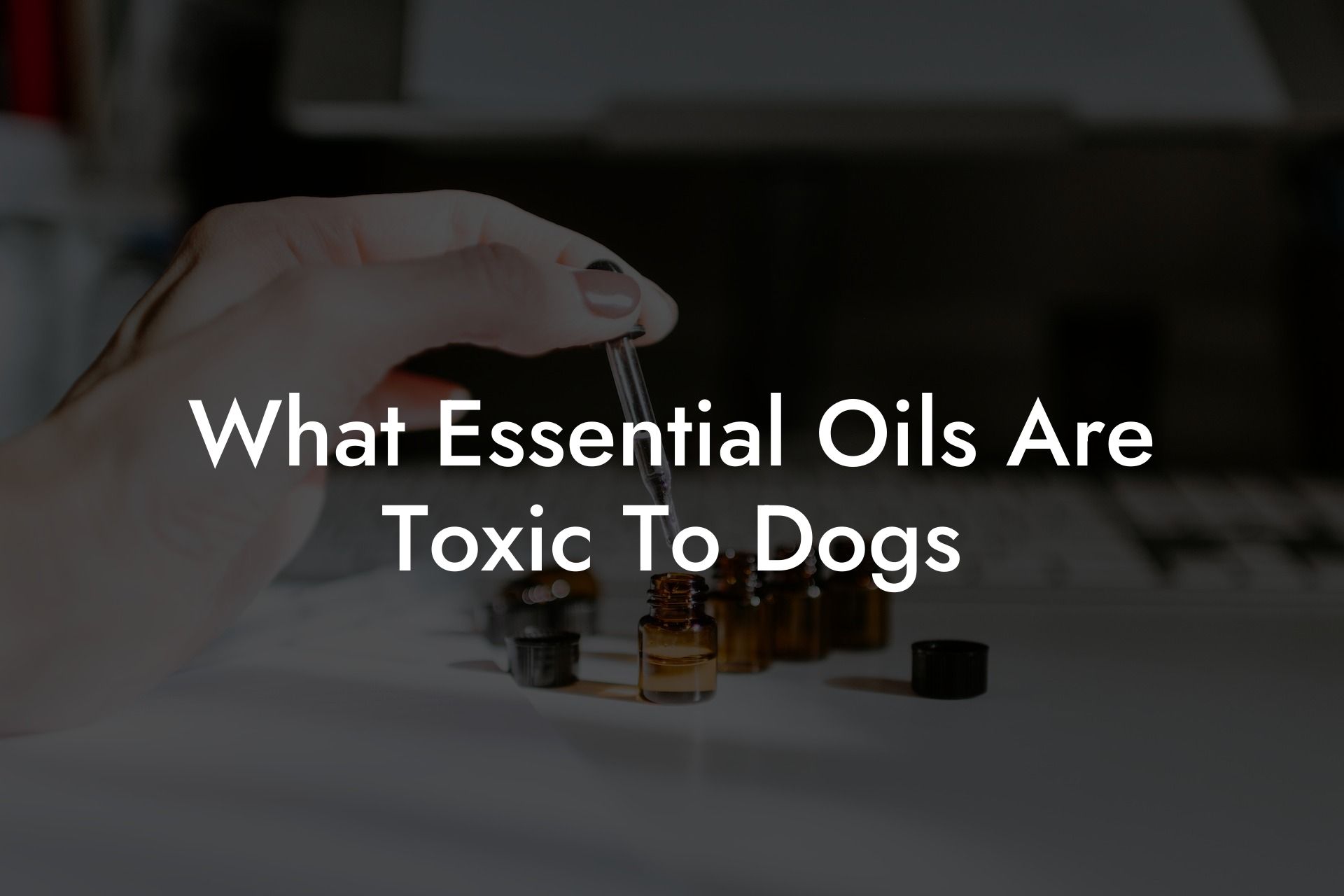 What Essential Oils Are Toxic To Dogs