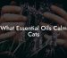 What Essential Oils Calm Cats