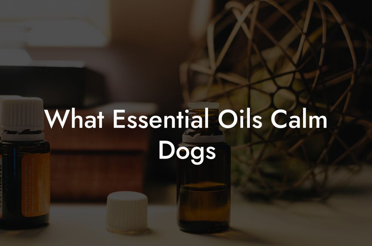 What Essential Oils Calm Dogs