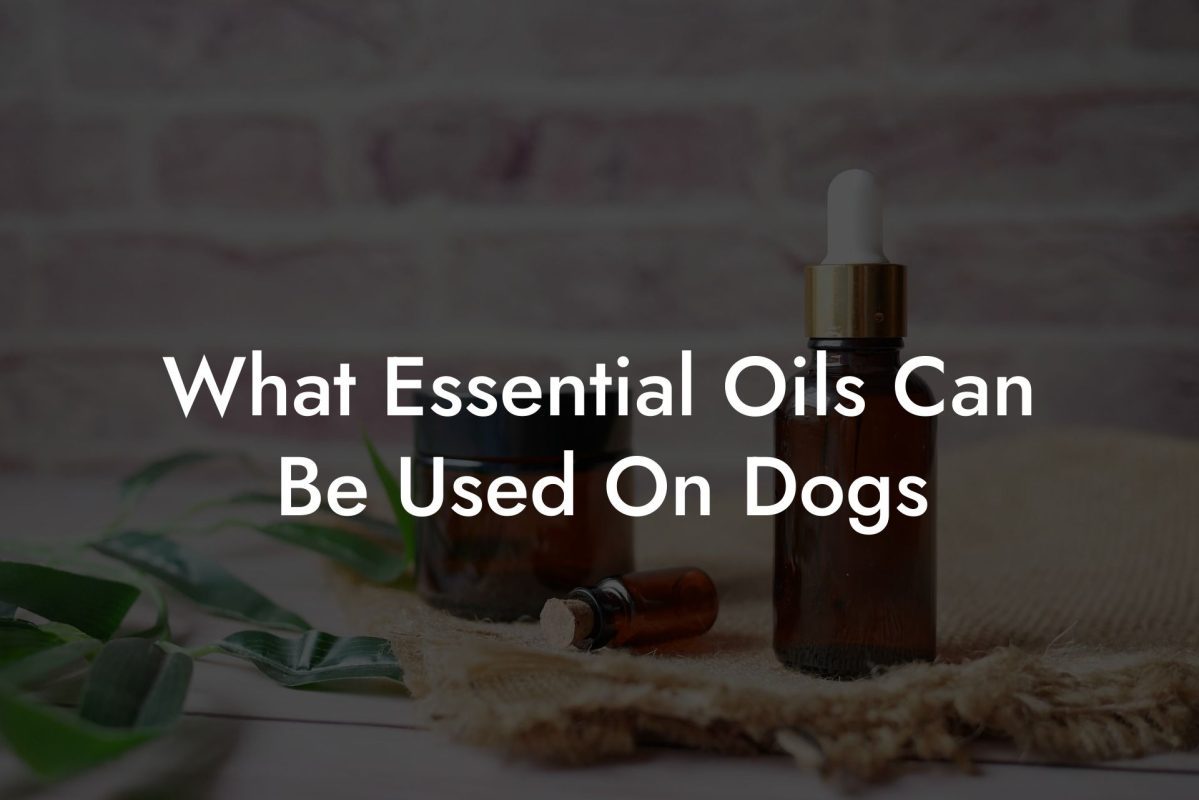 What Essential Oils Can Be Used On Dogs