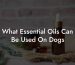 What Essential Oils Can Be Used On Dogs