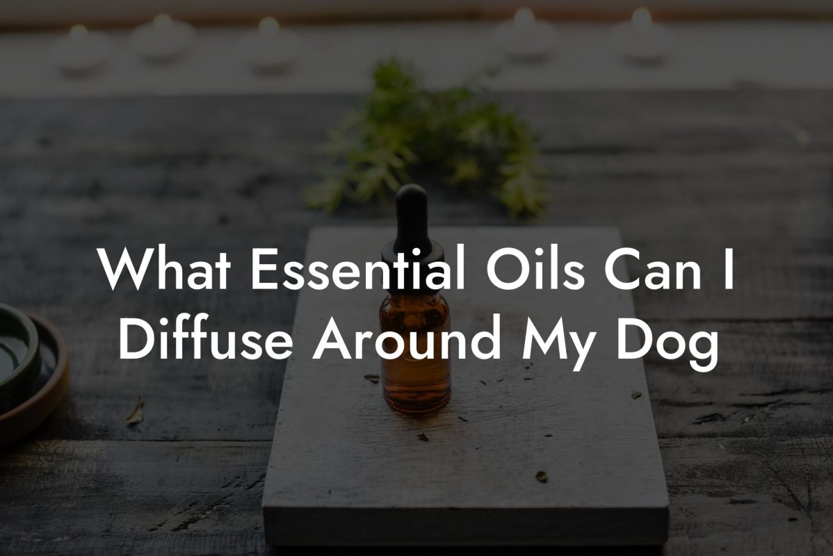 What Essential Oils Can I Diffuse Around My Dog