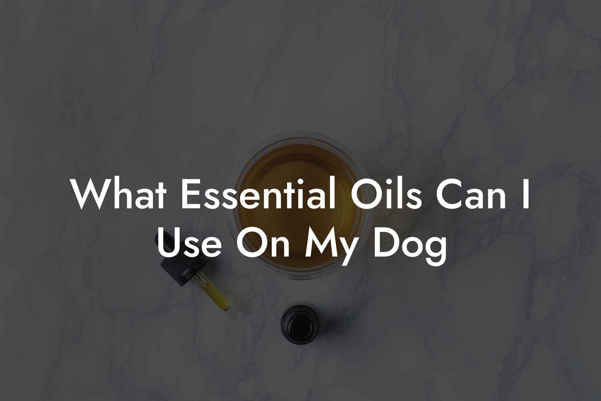 What Essential Oils Can I Use On My Dog