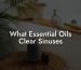 What Essential Oils Clear Sinuses