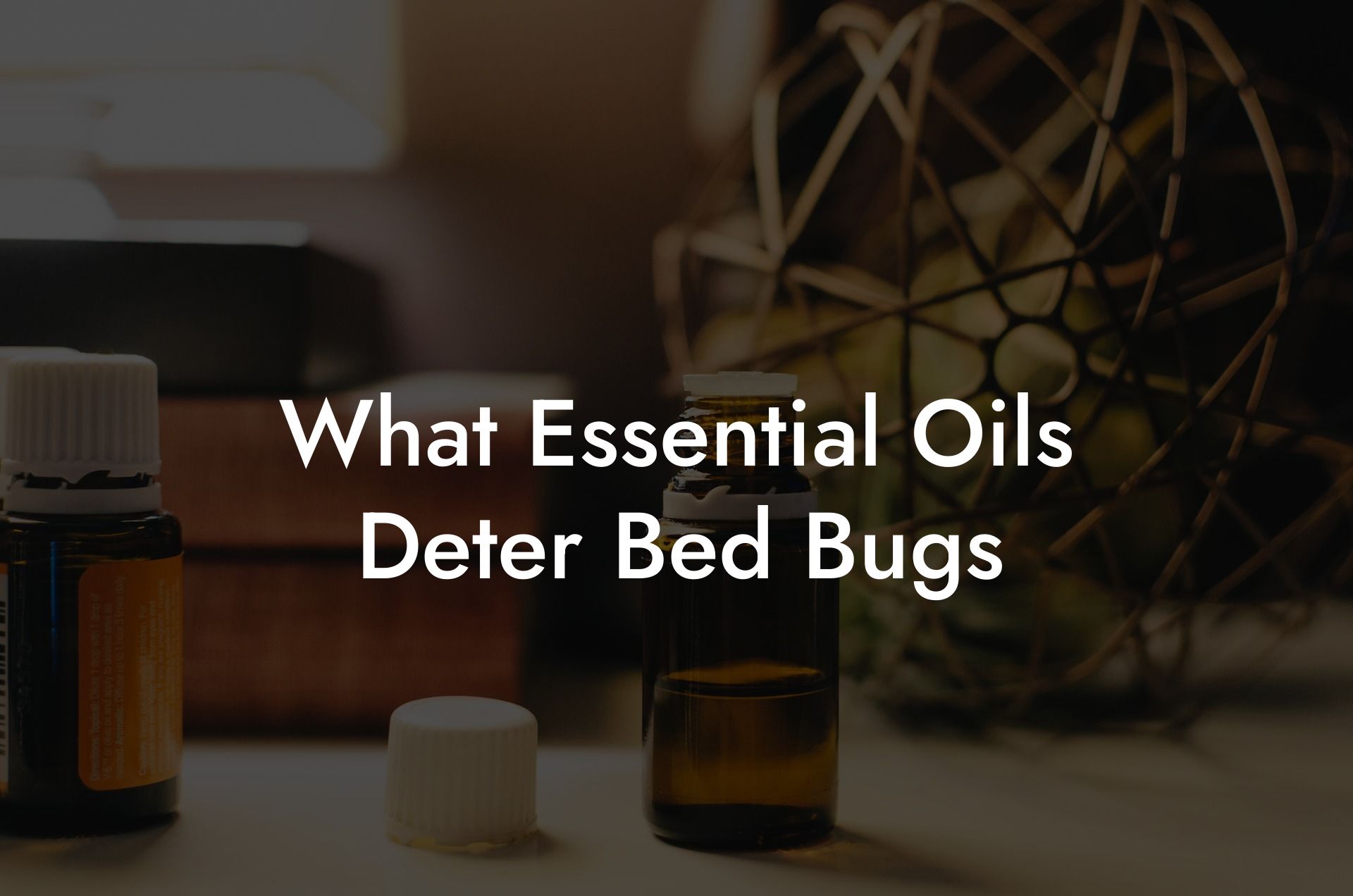 What Essential Oils Deter Bed Bugs