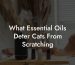 What Essential Oils Deter Cats From Scratching