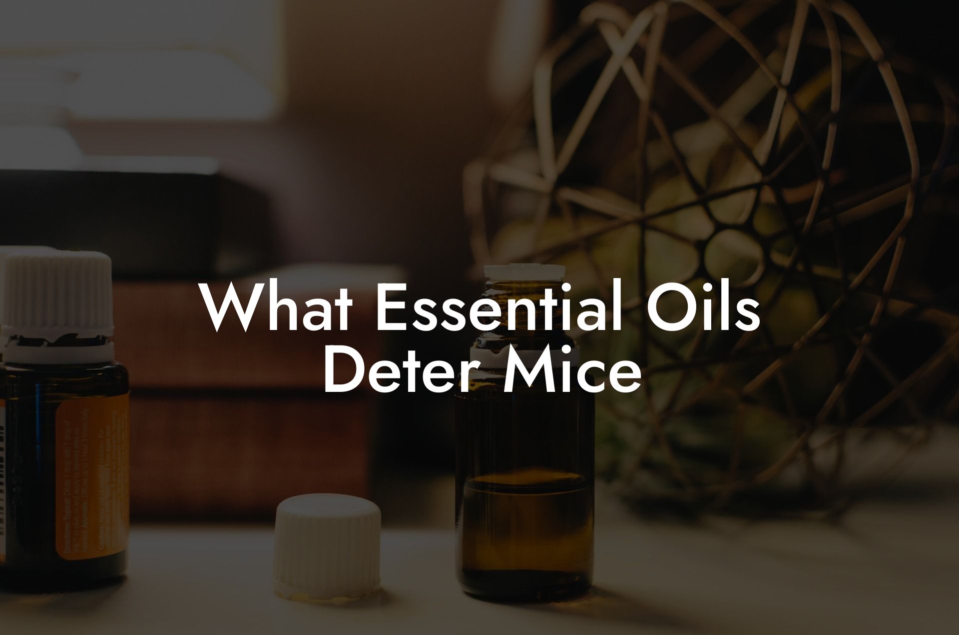 What Essential Oils Deter Mice